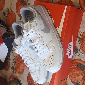 Big Nike Low White/ Wolf Grey